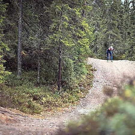Sport 3* Vuokatti