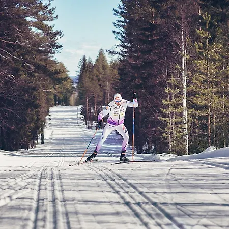 Sport Hotel Vuokatti