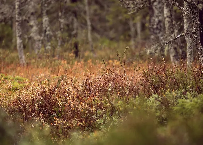 Sport فندق فُوَكاتي