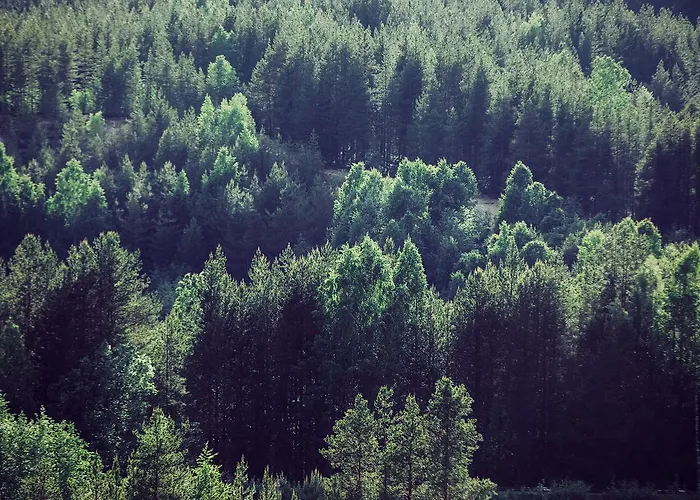 Sport 3* فُوَكاتي